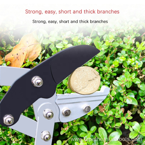 Factory wholesale SK5 steel long reach pruner